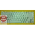 Клавиатура для ноутбука Lenovo Y450/Y450A/Y450G/Y550/Y550A белая, с русскими буквами C200, B460, Y45